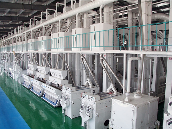 日产300吨成套碾米设备