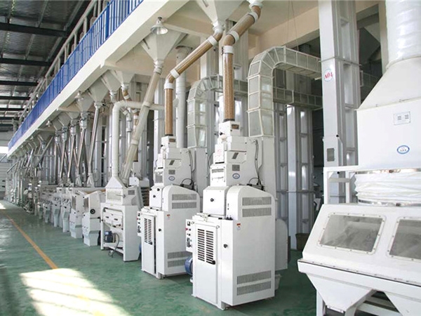 500吨稻谷成套碾米设备